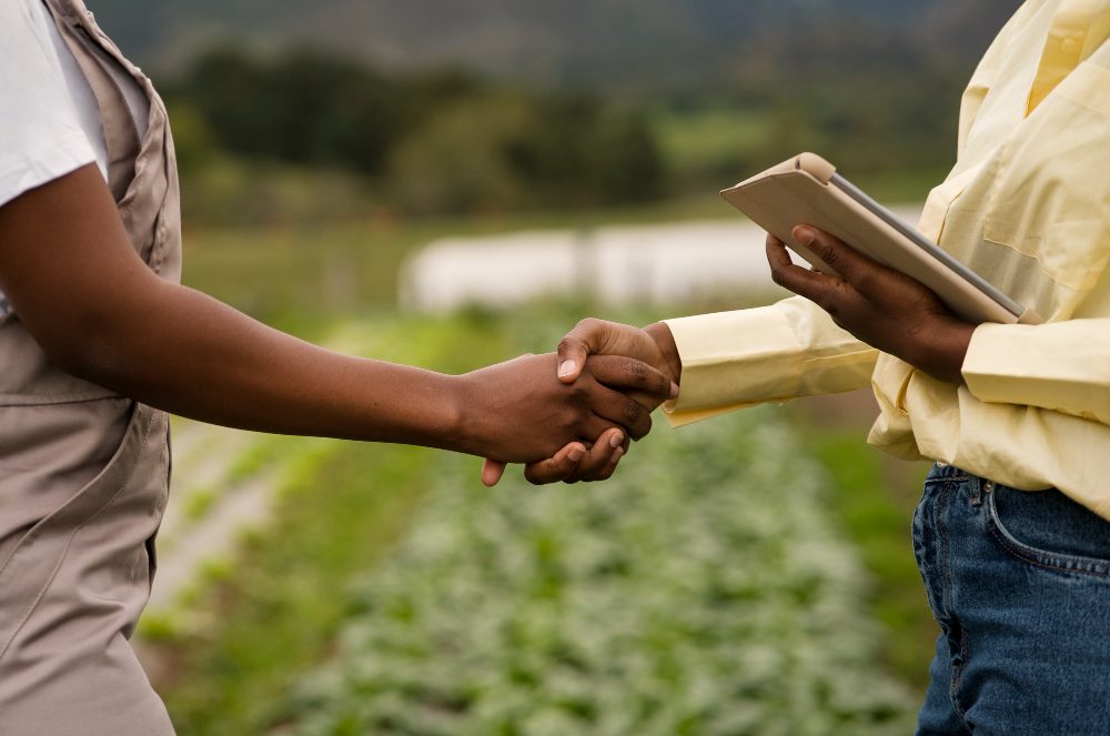 Reforma Tributária pode impulsionar agronegócio